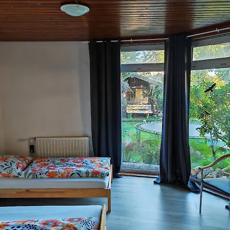 Quiet Little House With Seperate Entrance *