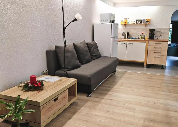 公寓 Quiet Little House With Seperate Entrance *